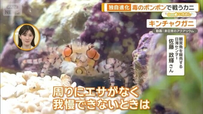 脚を「非常食にしてしまうことも」