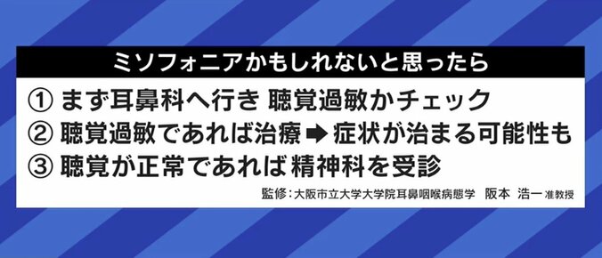 「理性がなくなったら自分がどうなるかわからない」咀嚼音、咳、くしゃみ…“特定の音”に激しい怒り ミソフォニア（音嫌悪症）の実態 7枚目