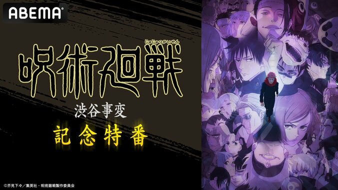 榎木淳弥、内田雄馬、瀬戸麻沙美が出演！TVアニメ『呪術廻戦』の特別番組放送決定 1枚目