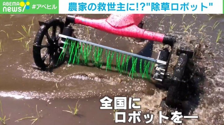「農家の仕事の8〜9割は草取り」→除草ロボットで自動化 開発会社代表「1台をシェアしてOK。日本の農業を若返らせたい」