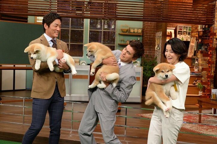 長嶋一茂＆石原良純＆高嶋ちさ子、 “ザワつくトリオ”が再集結！高嶋は2人に「生まれ変わったらハエ」