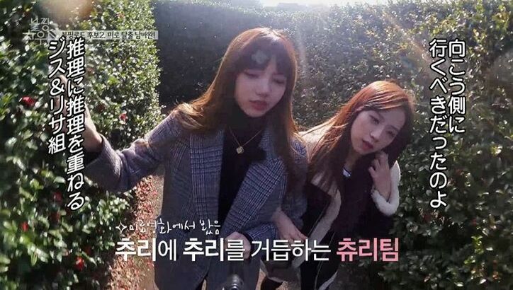 BLACKPINK、熱気球に大興奮！済州島での食べ歩き1泊2日旅を満喫