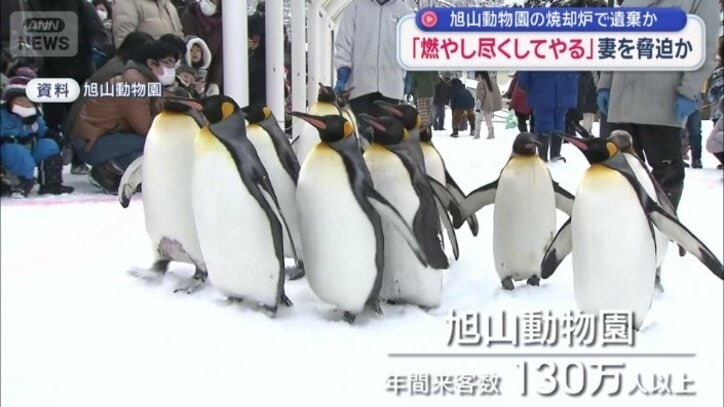 「旭山動物園」