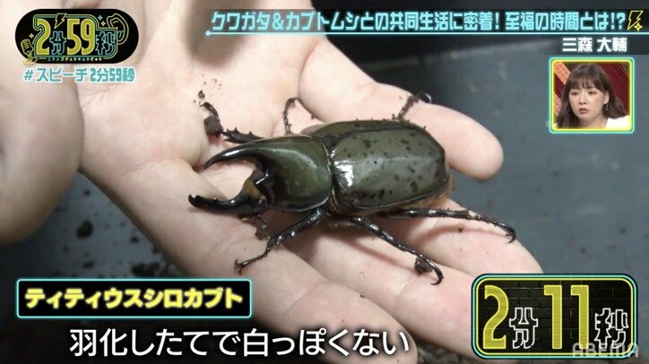 クワガタ・カブトムシ1000匹を飼育する芸人の自宅に潜入！虫への愛に千原ジュニア仰天