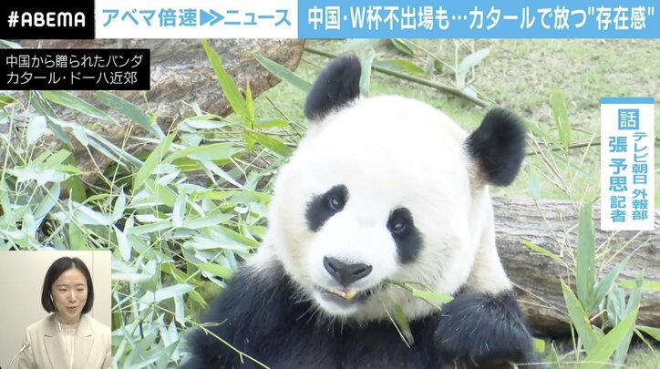 カタールW杯で席巻の中国マネー…代表不出場でもなぜ？ 親近感は「欧米諸国への嫌悪感と裏表」