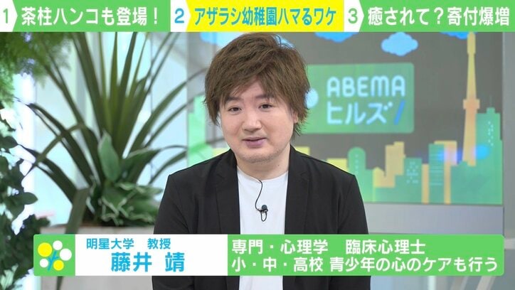 【写真・画像】垂直に浮くアザラシ=茶柱? 「アザラシ幼稚園」に日本人アクセス殺到&1000万円超スパチャにオランダ人“当惑” 4枚目
