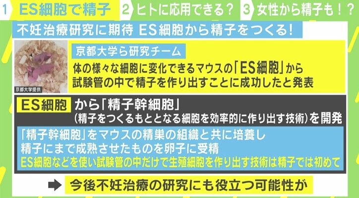 Es細胞 で女性同士の子どもが出産可能に 専門家 ヒトへの応用はまだ 経済 It Abema Times