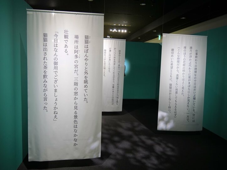 【写真・画像】　13枚目