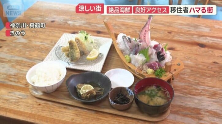 真鶴の魚を味わえる海鮮料理