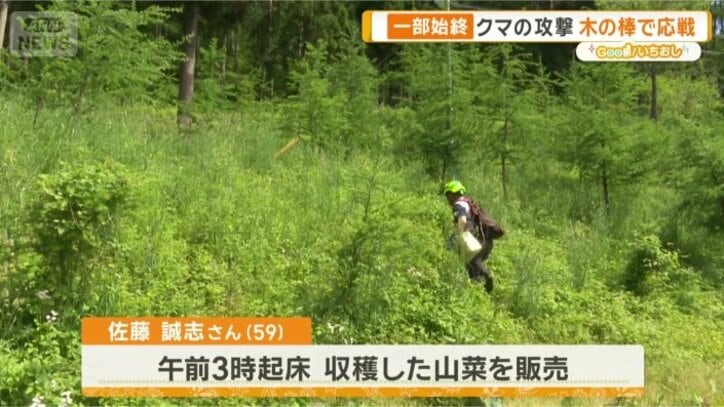 山では何度もクマを目撃