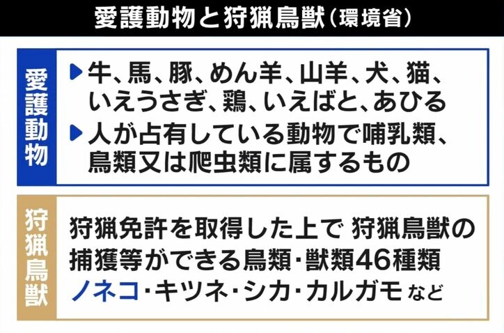 「スーパーで食べる肉にだって同じ命があった」狩猟は残酷? 東出昌大と考える“いのちの食べ方”