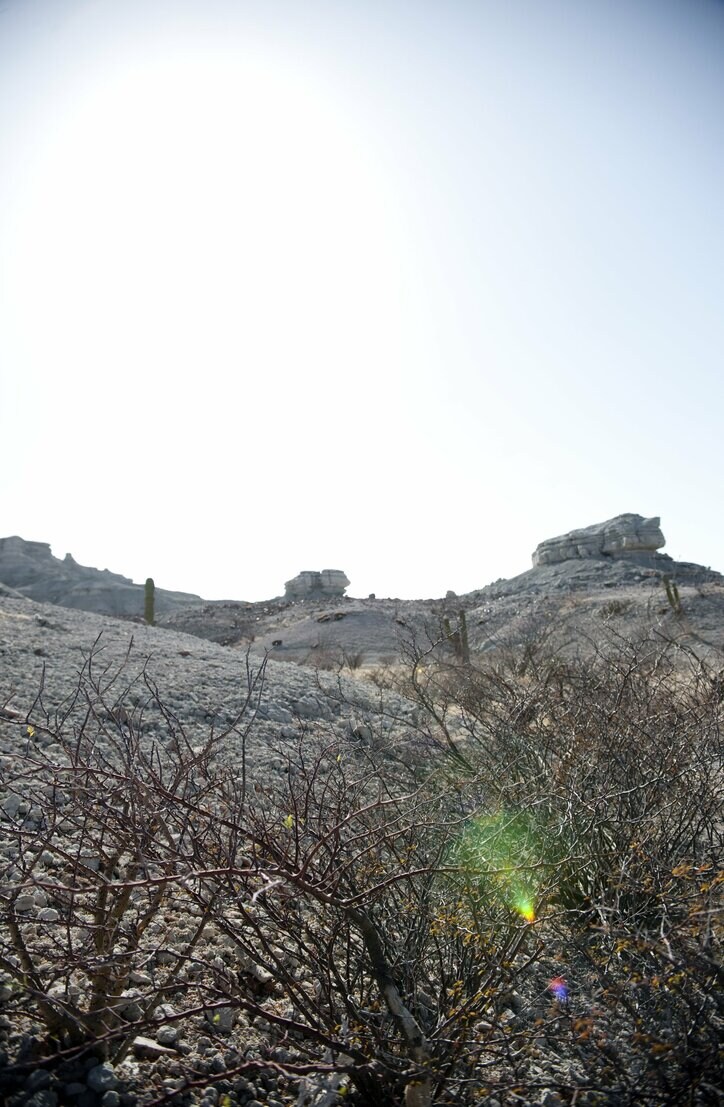 アメリカ=メキシコ間の国境問題を描く衝撃作『ノー・エスケープ 自由への国境』　過酷なロケ地写真を公開