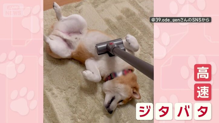 別の日も“高速ジタバタ”