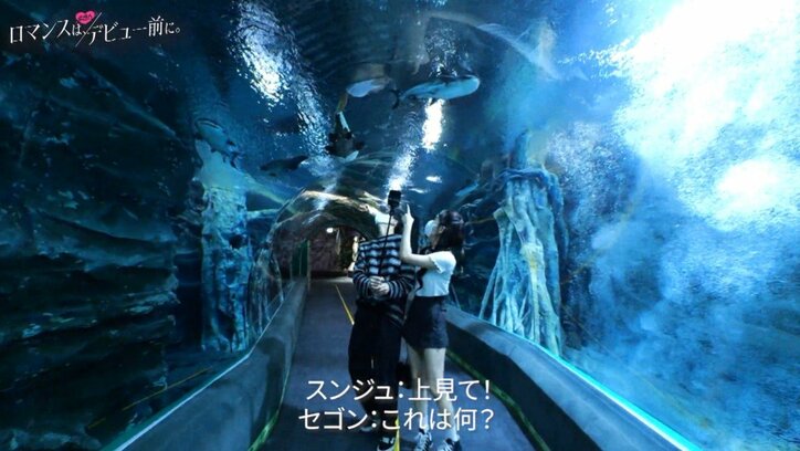 「外見は他の子がタイプ」デート中の男子からの正直すぎる告白に女子のリアクションは！？『ロマンスは、デビュー前に。』#6