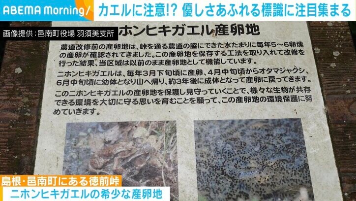“カエルに注意”の標識も…すでにひかれている? ユーモアあふれる標識がネット上で話題に