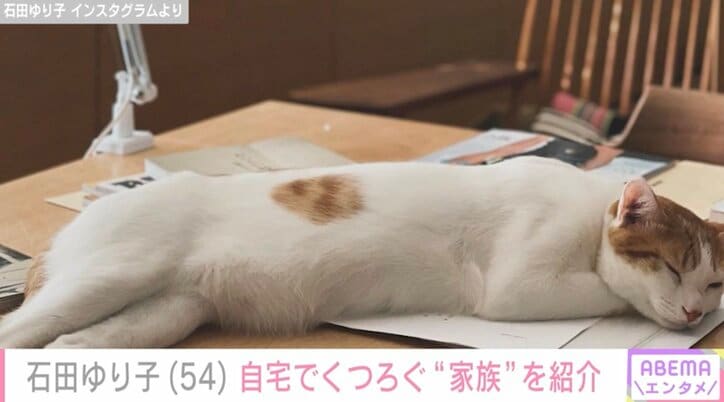 【写真・画像】石田ゆり子、自宅で愛犬と“柔道”する姿に反響「最高にステキなお写真！」「ほんわかします」　1枚目