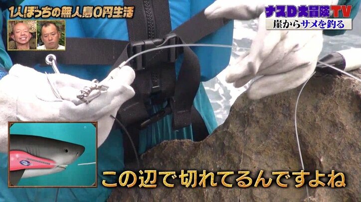 ナスD対サメの直接対決！ モリで一突き、海中からの捕獲を宣言「サメを迎えに行きます」