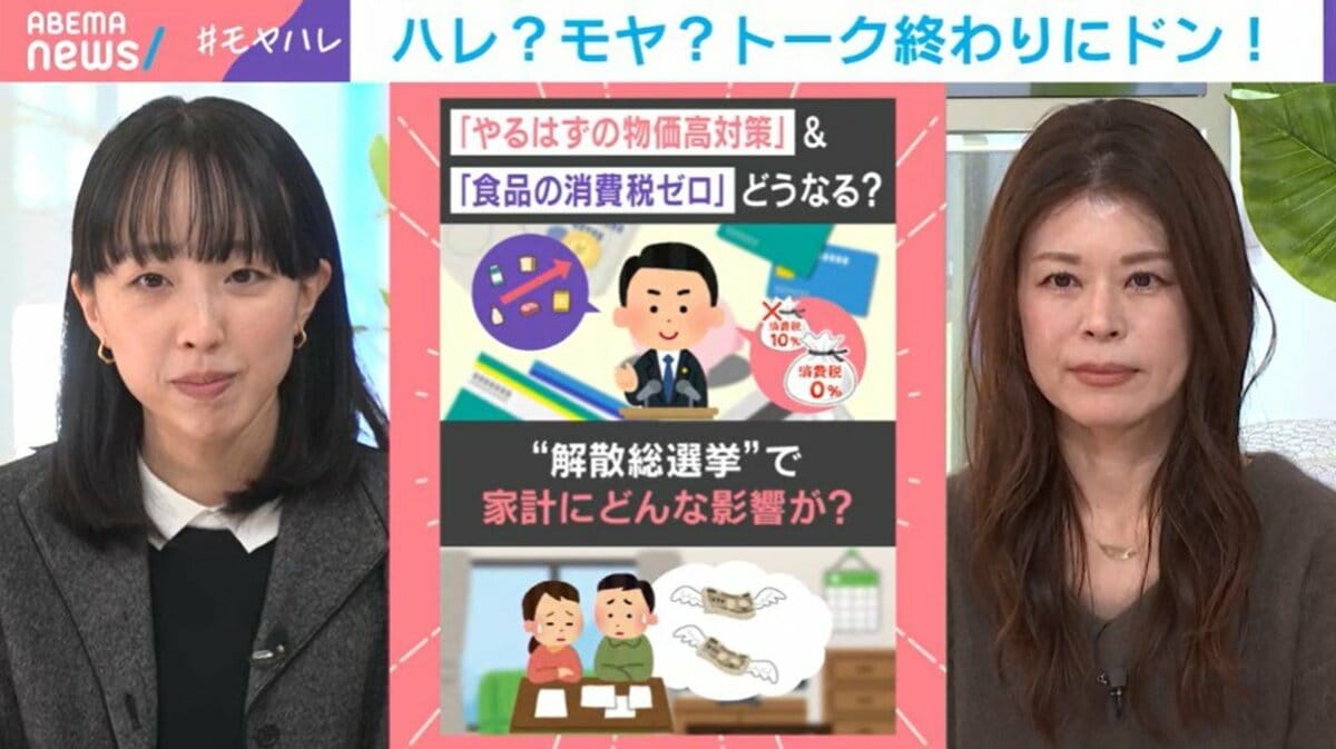 “スピード選挙”解散で給食無償化や私立高校無償化 4月にスタートできるの?政府与党がやりたくても…「どうやるかは選挙結果も踏まえての話」 | 国内 | ABEMA TIMES | アベマタイムズ
