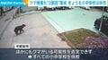 クマ捕獲も“2頭目”警戒 きょうも小中学校は休校
