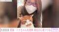 松居直美、愛猫・ハナちゃんを埋葬「近くにいると考えるようになったら、悲しみがなくなりました」