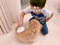 辻希美『将来トリマーか？♡』