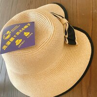 遼河はるひ『しまむらでー。。。』