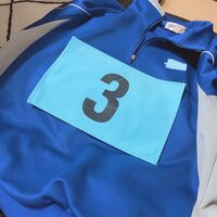 日菜あこ『ハラハラした娘の体育祭』