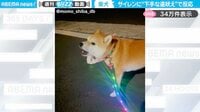 「それ遠吠えなの!?」生まれて初めての“遠吠え”が下手すぎる柴犬