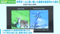 【映像】脳信号からの復元画像