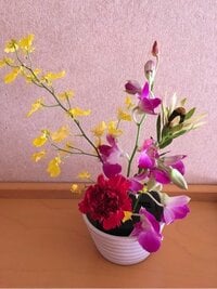 森岡茂『認知症と鬱も』