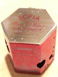 森口博子『バレンタイン』