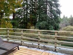  アグネス・チャン、篠山紀信さんの訃報を聞き心配なこと「大丈夫かな 」