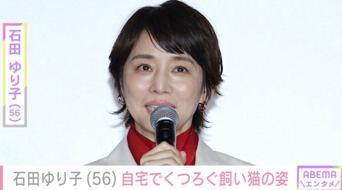 【写真・画像】「インテリアがすてき、憧れます」 石田ゆり子（56）、“雑貨まみれの部屋”と愛猫の日常に絶賛の声「癒やしの光景」　1枚目