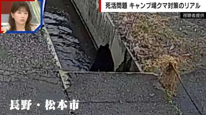 長野・松本市に出没したクマ