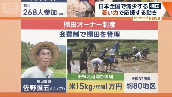 棚田オーナー制度