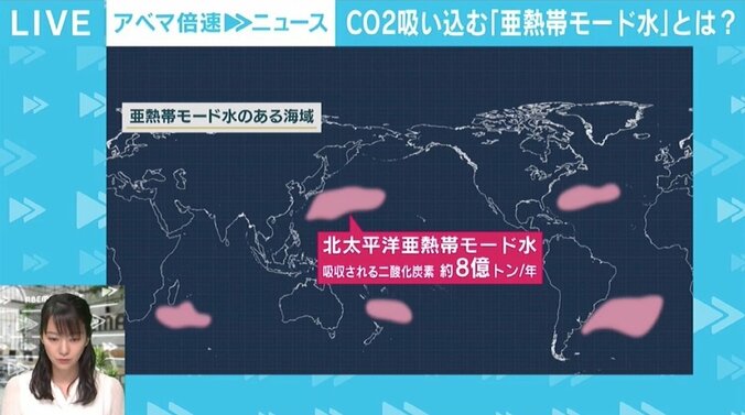 世界の温暖化対策に影響を与える可能性も？ CO2を吸収する「亜熱帯モード水」とは 2枚目