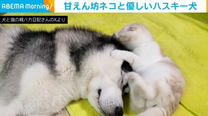 はっちゃんとじゅんちゃん