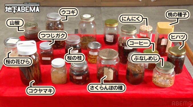 【写真・画像】年商7億円の“ヒモの神様” 57歳美魔女、敷地面積300坪の豪邸に驚きの声　3枚目