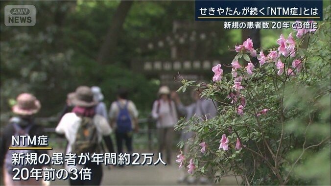 NTM症