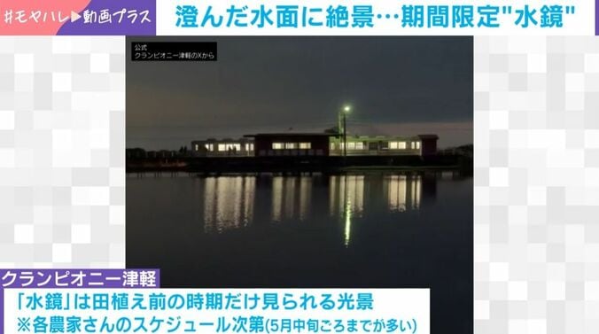 景色が溶け込んだ美しい“水鏡”