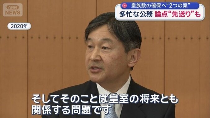 公的活動を担うことができる皇族は、以前に比べ減少