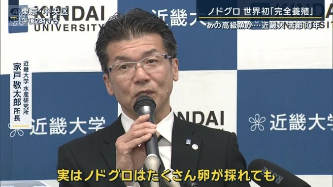 近畿大学水産研究所　家戸敬太郎所長