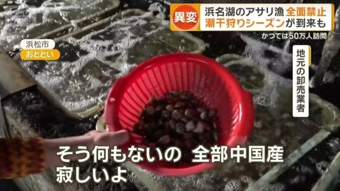 約2年前から輸入品に変更