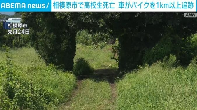 相模原市