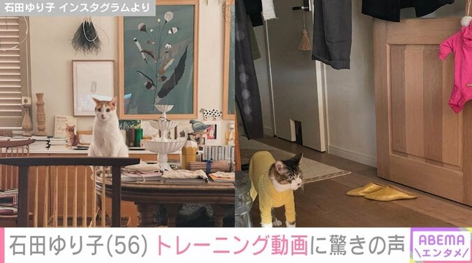 石田ゆり子の自宅