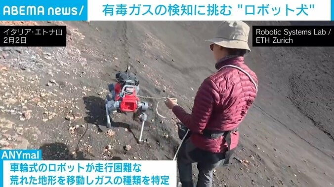 ロボット犬と人