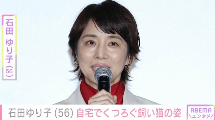 【写真・画像】「インテリアがすてき、憧れます」 石田ゆり子（56）、“雑貨まみれの部屋”と愛猫の日常に絶賛の声「癒やしの光景」　1枚目