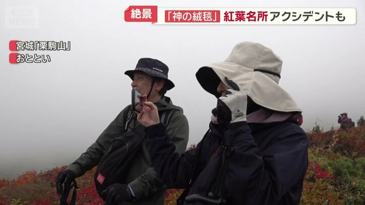 山頂に行くのは断念