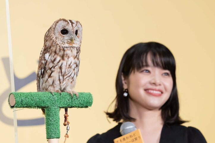 香取慎吾、ペット役のフクロウ・マルちゃんとは不仲だった!?「触っているの見たことない」相次ぐ暴露にタジタジ