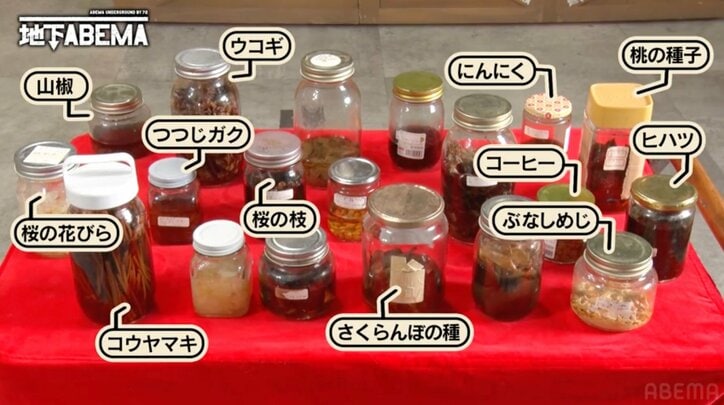 【写真・画像】年商7億円の“ヒモの神様” 57歳美魔女、敷地面積300坪の豪邸に驚きの声　3枚目